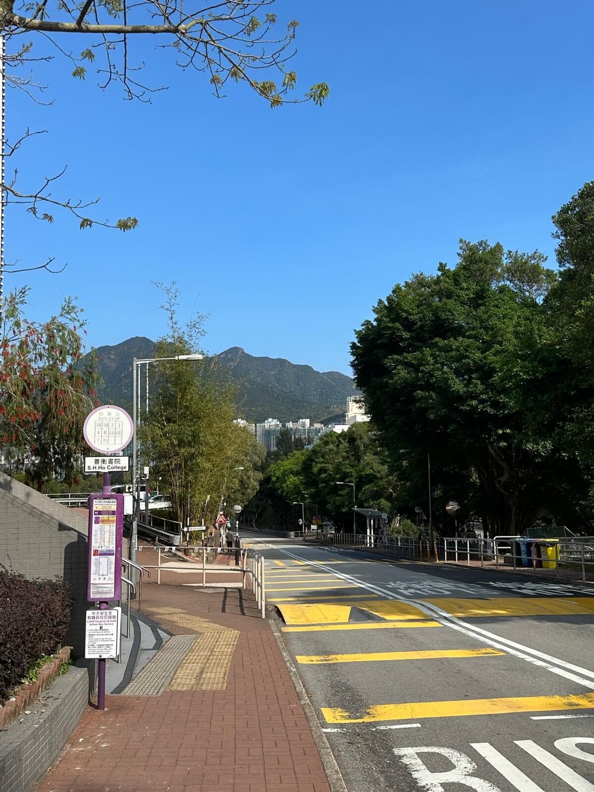 A road through the hills at CUHK, Hong Kong